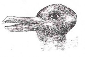 duck-rabbit_illusion